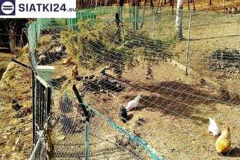 Siatki Wieluń - Siatka na woliery - zabezpieczenia ptaków w hodowli dla terenów Wielunia